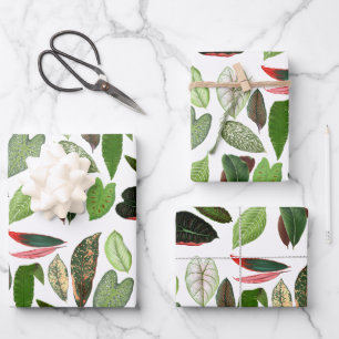 Botanische Aquarellfarben Vintage Grünflächen Blät Geschenkpapier Set