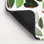 Botanische Aquarellfarben Vintage Grünflächen Blät Mousepad (Ecke)