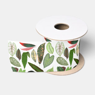 Botanische Aquarellfarben Vintage Grünflächen Blät Satinband