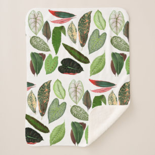 Botanische Aquarellfarben Vintage Grünflächen Blät Sherpadecke