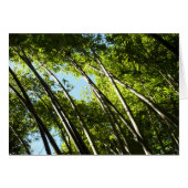 Botanische Bambusnatur (Vorderseite (Horizontal))