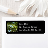 Botanische Bambusnatur (Insitu)