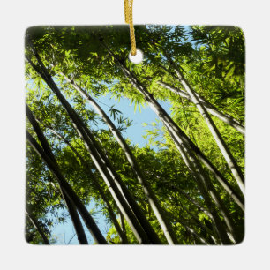 Botanische Bambusnatur Keramikornament
