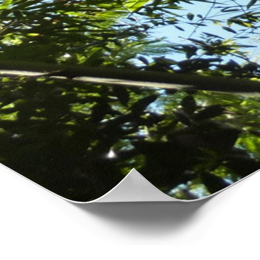 Botanische Bambusnatur Poster (Ecke)
