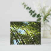 Botanische Bambusnatur Postkarte (Stehend Vorderseite)