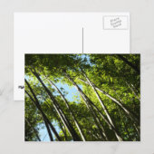 Botanische Bambusnatur Postkarte (Vorne/Hinten)