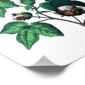 Botanische Baumwolle Poster (Ecke)