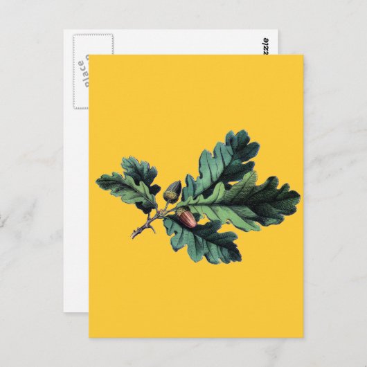 Botanische Blätter aus antikem Eichenholz Postkarte (Vorne/Hinten)