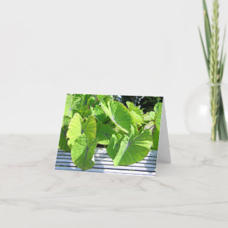 Botanische Blätter Karte