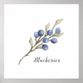 Botanische Blaubeeren Poster (Vorne)