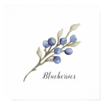 Botanische Blaubeeren