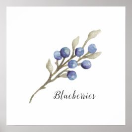 Botanische Blaubeeren Poster
