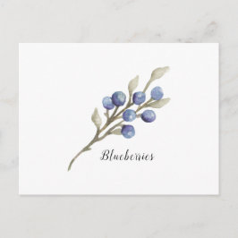 Botanische Blaubeeren Postkarte