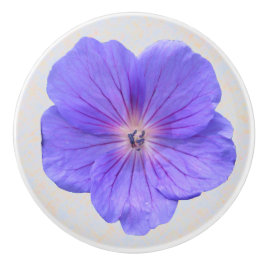 Botanische blaue Pelargonie-Blume auf irgendeiner Keramikknauf