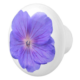 Botanische blaue Pelargonie-Blume auf irgendeiner Keramikknauf