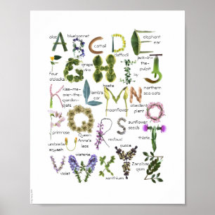 Botanische Blume Alphabet Baby Kinderzimmer Poster