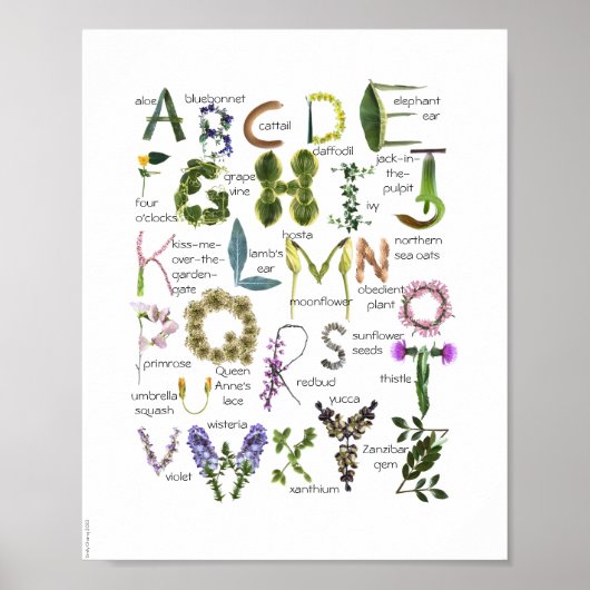 Botanische Blume Alphabet Baby Kinderzimmer Poster (Vorne)