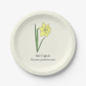 Botanische Blume Daffodil Pastel Pappteller (Vorderseite)