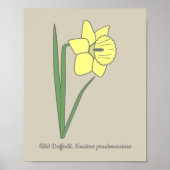 Botanische Blume Daffodil Pastel Poster (Vorne)
