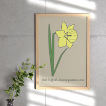 Botanische Blume Daffodil Pastel