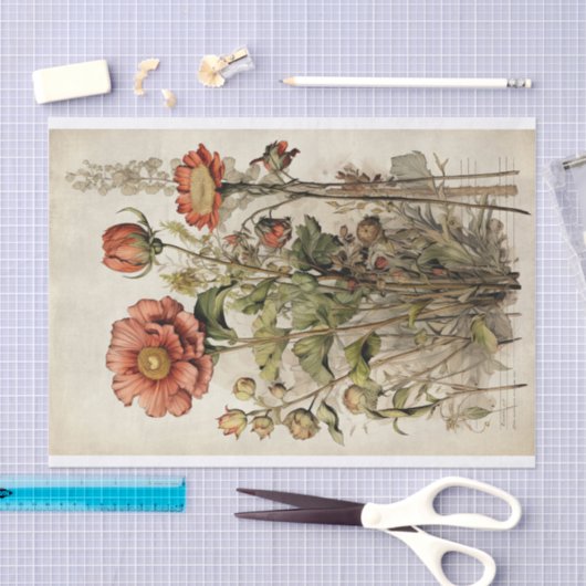 Botanische Blume Illustrationen zum Pergament Nr. Seidenpapier (Handwerk)