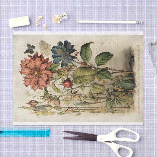 Botanische Blume Illustrationen zum Pergament Nr. Seidenpapier (Handwerk)