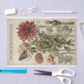 Botanische Blume Illustrationen zum Pergament Nr.  Seidenpapier (Handwerk)