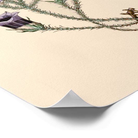 Botanische Blume Poster (Ecke)