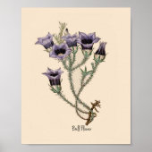 Botanische Blume Poster (Vorne)