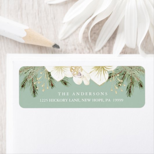 Botanische Blume und Folies (Insitu)