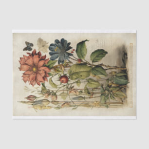 Botanische Blumenillustrationen auf Pergament Nr. Seidenpapier