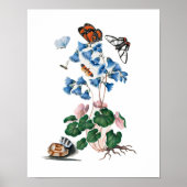 Botanische Blumenplakate Poster (Vorne)