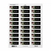 Botanische Blüte Land Rose Burgund schwarz (Vorne)