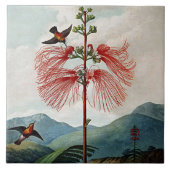 Botanische Blüten blühen sensible Pflanze Keramik Fliese (Vorderseite)