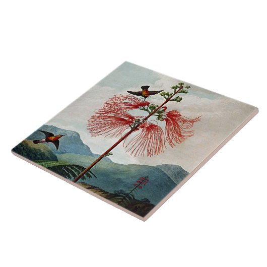 Botanische Blüten blühen sensible Pflanze Keramik Fliese (Seite)