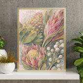 botanische Blütengemälde | Protea-Blumenillustrati Poster