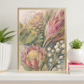 botanische Blütengemälde | Protea-Blumenillustrati Poster