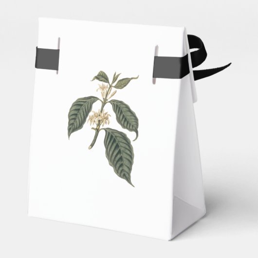 Botanische Bohemische Hochzeit der eleganten Kaffe Geschenkschachtel (Rückseite)