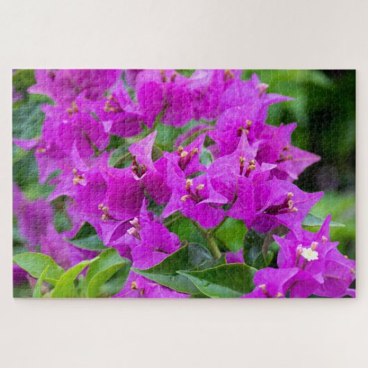 Botanische Bougainvillea Farbenfrohe Blumen Puzzle (Horizontal)