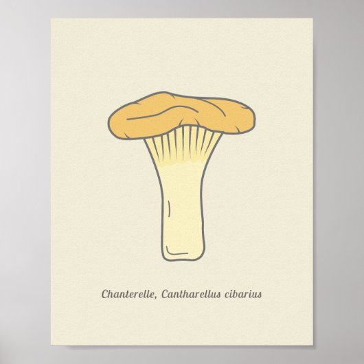 Botanische Chanterelle Mushroom Poster (Vorne)