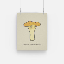 Botanische Chanterelle Mushroom Poster