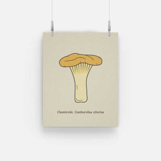 Botanische Chanterelle Mushroom Poster