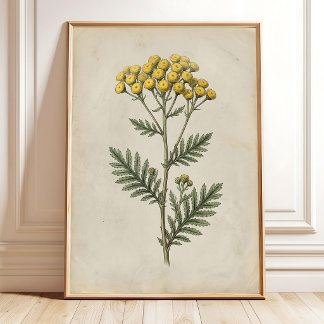 Botanische Cottage-Vintage-Wandkunst-Leinwand Poster