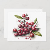 Botanische Cranberries Postkarte (Vorne/Hinten)