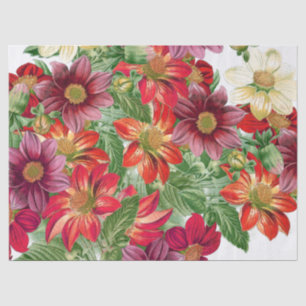 Botanische Dahlie-Blumen-Blumenseidenpapier Seidenpapier