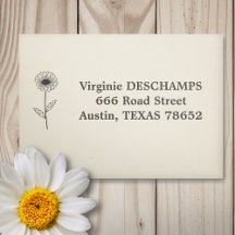 Botanische Daisy Line Blume