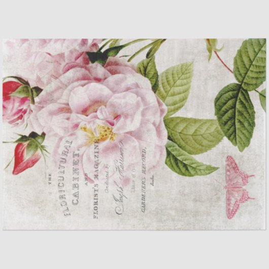 Botanische Dekoupage der Vintagen Rosa Rose Seidenpapier (Vorderseite)