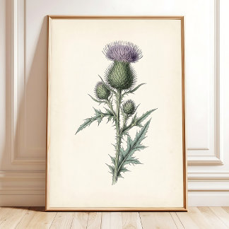 Botanische Distel-Leinwand Cottagecore-Kunst Poster