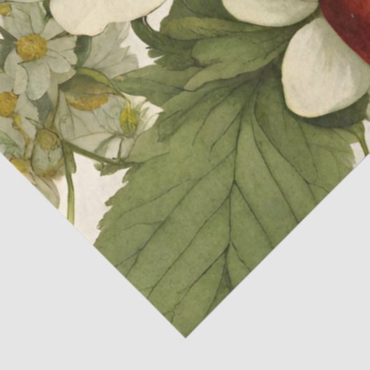 Botanische Erdbeere-Blume Seidenpapier (Ausschnitt)