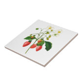 Botanische Erdbeeren Keramik Tile Fliese (Seite)